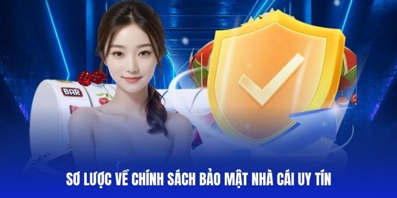 Cá Cược V-League Chính Thức - Có Giấy Phép
