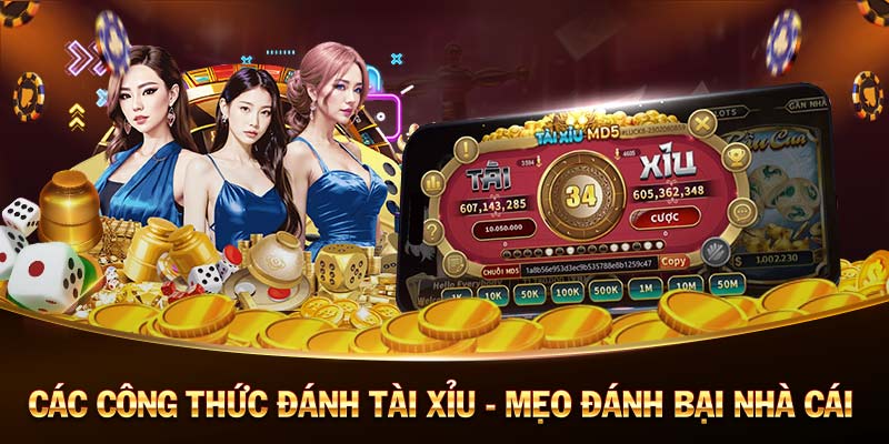 Nhà Cái Đăng Ký Tặng Tiền - Registration Reward Sites