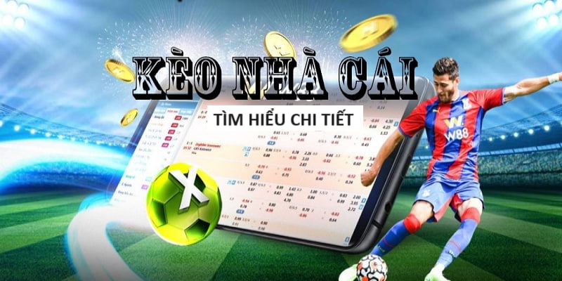 Game Tài Xỉu Chicai88 - Chicai88 Sicbo Platform